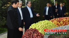 Шоми дӯстӣ ба ифтихори сарони давлатҳои аъзои СҲШ ва СААД