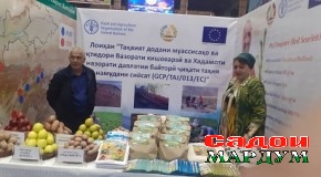 Форум равзанаи ҳамкориҳои навро боз намуд