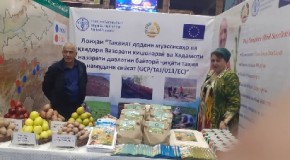 Фоидаи кишти картошкаи пешпазак дар шароити кӯҳистон