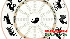 Дар ҷустуҷӯи мучал