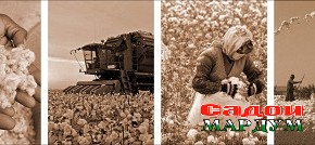 Пойкӯбӣ дар як ҷой