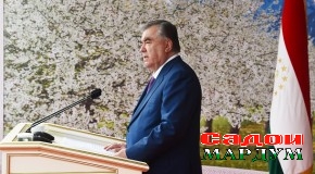 Фалсафа, ҳикмат ва мантиқи наврӯз бо ягон дин ё мазҳаб робита надорад