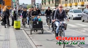 Дучарха арзону безарар, вале аз мадди назар дур