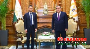 Мулоқоти Пешвои миллат бо Томас Никлассон