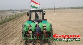 Дар Суғд ба кишти пунбадона оғоз карданд