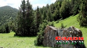 Ҷангал ва саҳми он дар рушди сайёҳӣ