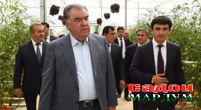 Сафари кории Пешвои миллат ба ноҳияи Мир Сайид Алии Ҳамадонӣ