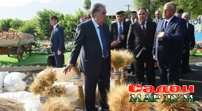 Асосгузори сулҳу ваҳдати миллӣ — Пешвои миллат, Президенти Ҷумҳурии Тоҷикистон муҳтарам Эмомалӣ Раҳмон аз хоҷагии деҳқонии ба номи Роҳбар Қосимов боздид намуданд