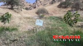 «Даштиҷум» мақбули сайёҳон хоҳад гашт, агар…