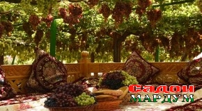 Соҳиби шаън ва ифтихори диёр