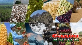 Заминаи мукаммали қонунгузорӣ – асоси пешрафти соҳаи кишоварзӣ