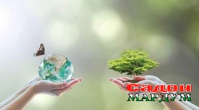 Ташаккули маданияти экологӣ ташаккули маданияти экологӣ