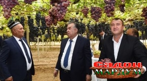 Боздиди Пешвои миллат муҳтарам Эмомалӣ Раҳмон аз Хоҷагии деҳқонии «Боғи Сомон» дар шаҳри Турсунзода