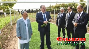 Боздиди Пешвои миллат муҳтарам Эмомалӣ Раҳмон аз Хоҷагии деҳқонии «Ватан» дар шаҳри Турсунзода