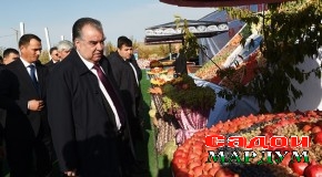 Боздид аз боғи интенсивии “Бобои Шамс” дар ноҳияи Шамсиддин Шоҳин ва иштирок дар ҷашни Меҳргони вилояти Хатлон