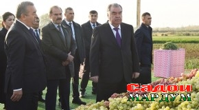 Боздиди Президенти мамлакат муҳтарам Эмомалӣ Раҳмон аз ҷараёни дарави шолӣ дар Хоҷагии деҳқонии “Бобои Ҷӯра”-и ноҳияи Қубодиён ва намоиши маҳсулоти кишоварзӣ