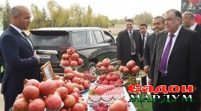 Боздиди Пешвои миллат муҳтарам Эмомалӣ Раҳмон аз Хоҷагии деҳқонии “Ситора” ва намоиши маҳсулоти кишоварзӣ дар ноҳияи Шаҳритус