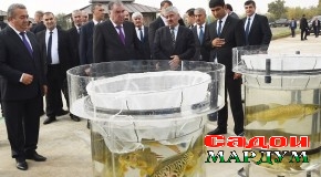 Боздиди Президенти мамлакат муҳтарам Эмомалӣ Раҳмон аз парвариш ва нигоҳубини моҳӣ дар хоҷагии деҳқонии моҳипарварии “Наимҷон-2012” дар ноҳияи Шаҳритус