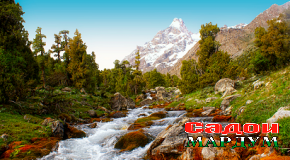 Маърифати экологӣ ва зинаҳои расидан ба он