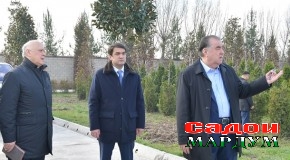 Иштирок дар маъракаи ниҳолшинонӣ ва бунёди боғи нав дар шаҳри Душанбе