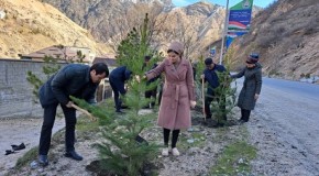 Варзоб. Корҳои ободонӣ ва ниҳолшинонӣ бахшида ба 30-солагии таъсисёбии «Артиши миллӣ»