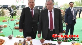 Бунёди токзори нав бо тарзи хавозавӣ ва ба истифода додани хатти оби полезӣ дар мавзеи Сомғори ноҳияи Бобоҷон Ғафуров