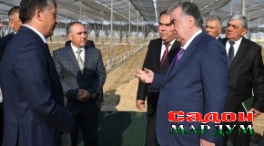 Ифтитоҳи хатти оби полезӣ ва оғоз бахшидан ба кишти пунбадона дар ноҳияи Зафаробод аз ҷониби Пешвои миллат муҳтарам Эмомалӣ Раҳмон