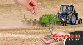 Қарзҳои соҳибкорӣ ва ипотекӣ