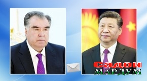 Номаи шодбошӣ