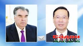 Номаи шодбошӣ