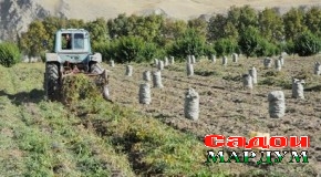Агар маҳсулот коркард шавад…