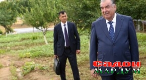 Боздиди Пешвои миллат муҳтарам Эмомалӣ Раҳмон аз ҷараёни нашъунамои полезӣ ва лӯбиёгиҳо дар хоҷагии деҳқонии “Тутзор-19” ва намоиши маҳсулоти кишоварзӣ дар ноҳияи Мастчоҳ