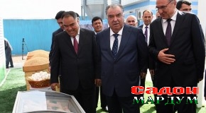 Ба истифода додани корхонаи парандапарварии ҶДММ “Некбахт” дар ноҳияи Мастчоҳ аз ҷониби Пешвои миллат муҳтарам Эмомалӣ Раҳмон