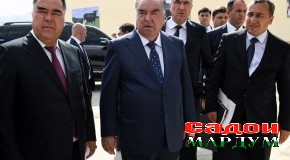 Боздиди Пешвои миллат муҳтарам Эмомалӣ Раҳмон аз парвариши чорвои калони хушзот ҶДММ “Некбахт” дар ноҳияи Мастчоҳ
