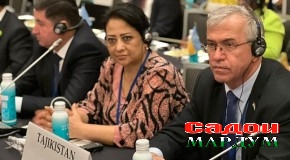 Иштироки вакилони Маҷлиси намояндагон дар Ҷаласаи солонаи Ассамблеяи парлумонии Созмони амният ва ҳамкорӣ дар Аврупо