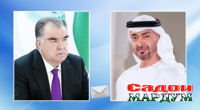 Барқияи изҳори тасаллӣ