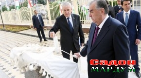 Пешвои миллат муҳтарам Эмомалӣ Раҳмон бинои Муассисаи таҳсилоти миёнаи умумии №53 дар ноҳияи Исмоили Сомонии шаҳри Душанберо  мавриди баҳрабардорӣ қарор доданд