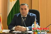 Бо афзоиши майдони павловния истеҳсоли чӯбу тахта зиёд мешавад