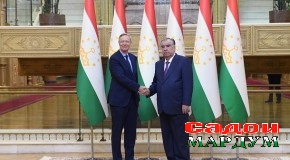 Мулоқоти Президенти Ҷумҳурии Тоҷикистон муҳтарам Эмомалӣ Раҳмон бо Мудири иҷроияи Кумитаи шарқии иқтисоди Олмон Михаэл Ҳармс