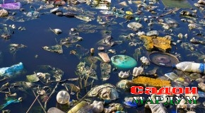 Ҳушдори моҳӣ