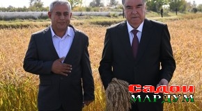 Боздид Пешвои миллат аз Хоҷагии деҳқонии боғпарварии “Боғи Нодир”-и ноҳияи Фархор