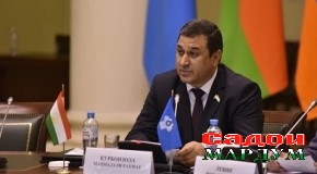 Ҷаласаи кумитаи АБ ИДМ дар Санкт-Петербург
