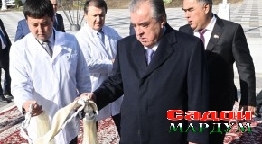 Ба истифода додани маркази ташхису табобатии “Аксон”-и ҶДММ “Наргиз” дар шаҳри Хуҷанд