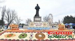 Намоди шодзистӣ ва ҳамбастагӣ