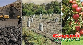 Ноҳиябандии иқтисодӣ самаровар аст, зеро…