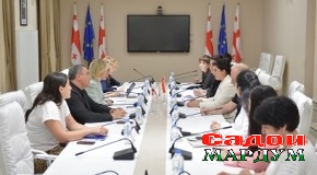 Ҳайати Маҷлиси намояндагон дар Гурҷистон