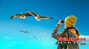 Сайёҳии парандашиносӣ.