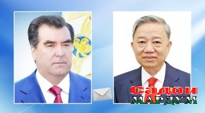 Барқияи табрикӣ