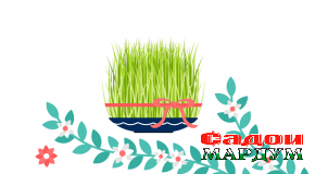 Шабе, ки Наврӯз фаро мерасид